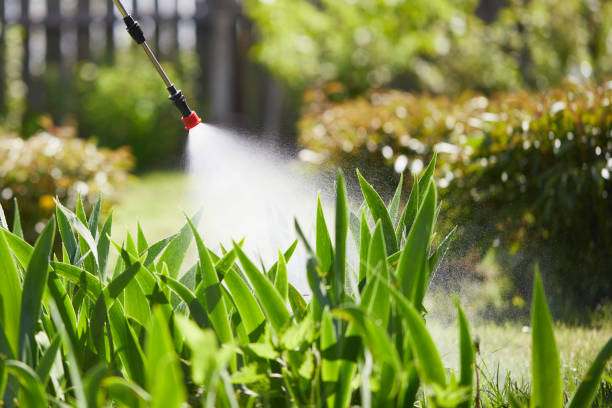 24/7 Emergency Ant Control experts in Pearl City, HI