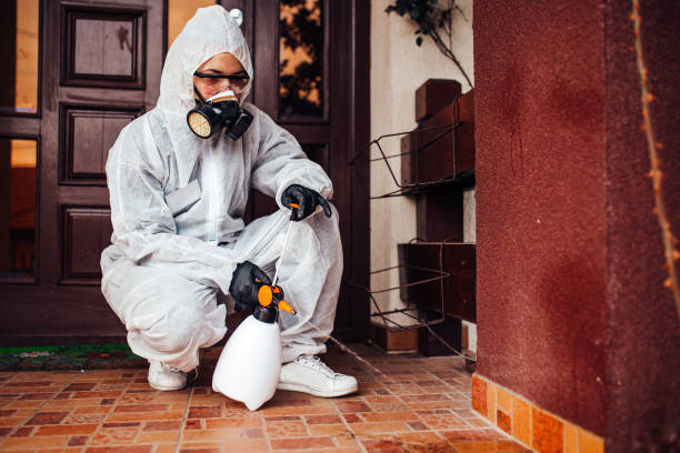 Reliable Ant Control contractor in Pearl City, HI by Show Me Pest Control